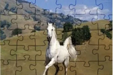 Cavalo jigsaw puzzle