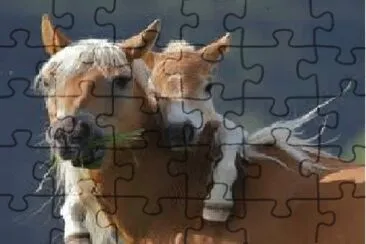 Cavalo 1 jigsaw puzzle