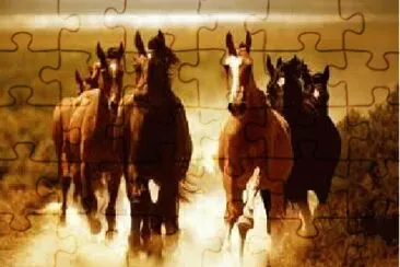 Cavalo 2 jigsaw puzzle