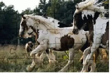 פאזל של Cavalo 4