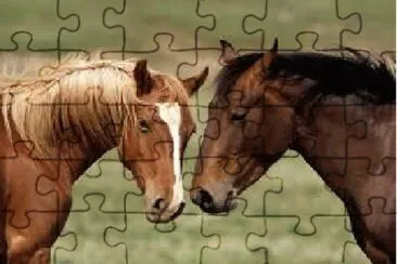 Cavalo 5 jigsaw puzzle