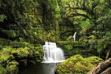 En Nueva Zelanda