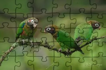 . jigsaw puzzle