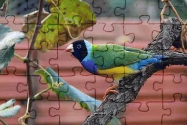 . jigsaw puzzle