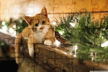 christmas cat jigsaw puzzle