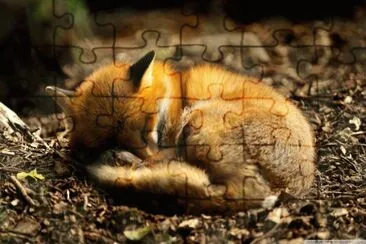 fox jigsaw puzzle