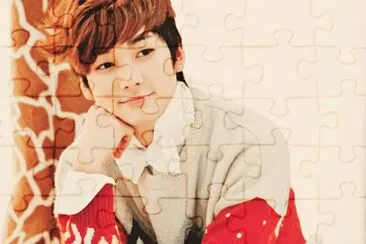 aron jigsaw puzzle