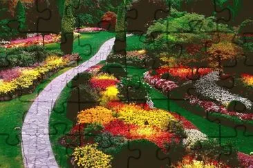 479 jigsaw puzzle