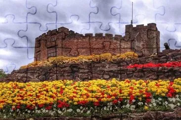 485 jigsaw puzzle