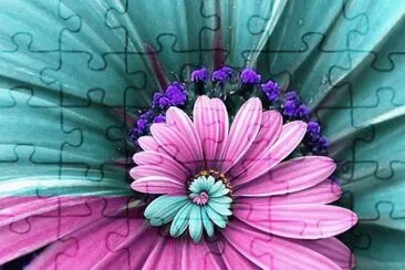 Beautiful Flower jigsaw puzzle