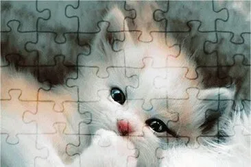 FOFOS jigsaw puzzle