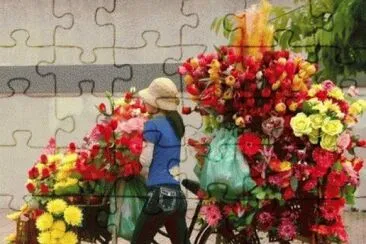 curiositÃ  jigsaw puzzle