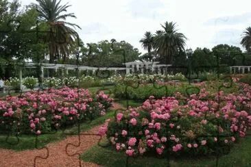 En Palermo. Ciudad de Buenos Aires. Argentina