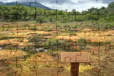 Turbal en el PN Tierra del Fuego. Argentina