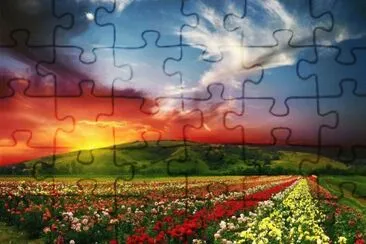 547 jigsaw puzzle