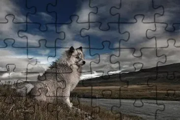 wolfhound jigsaw puzzle