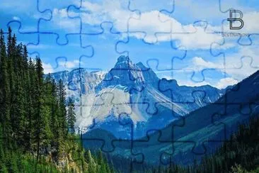 557 jigsaw puzzle