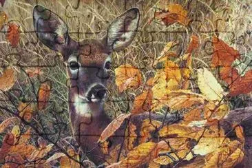 biche en automne jigsaw puzzle