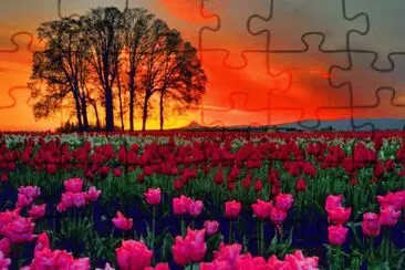 Natureza jigsaw puzzle