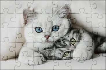 Gatitos jigsaw puzzle