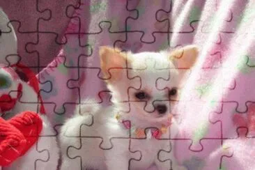 perrito jigsaw puzzle