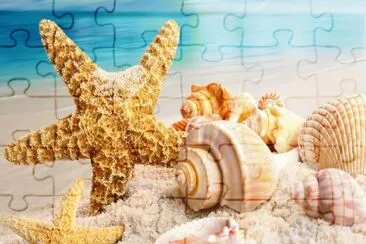 16 jigsaw puzzle