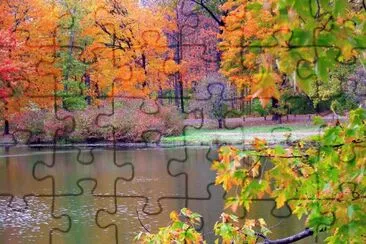 19 jigsaw puzzle