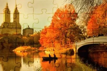 20 jigsaw puzzle