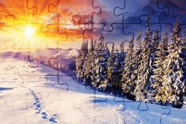 4 jigsaw puzzle