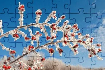 7 jigsaw puzzle