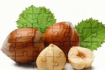 nocciola jigsaw puzzle