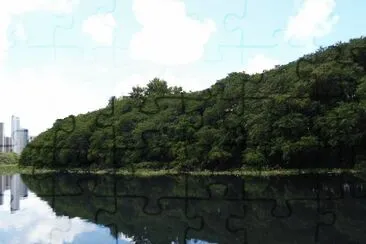 Rio Refletindo a Mata jigsaw puzzle