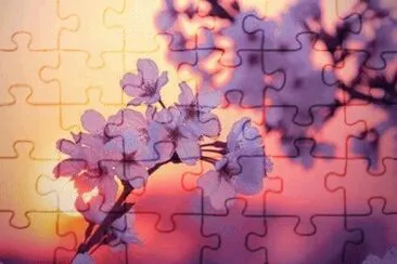 ciliegio jigsaw puzzle