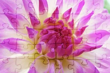 dalia jigsaw puzzle