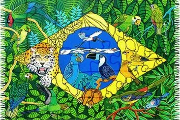 pareo brasil jigsaw puzzle