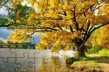 Natureza jigsaw puzzle