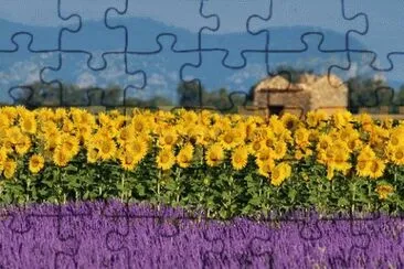 Natureza jigsaw puzzle