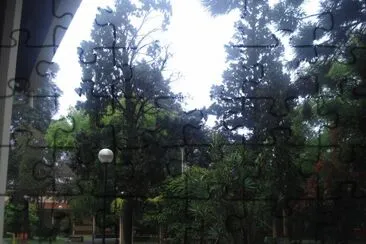 jardÃ­n