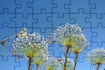 Natureza jigsaw puzzle