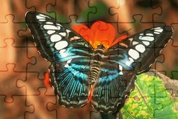 mariposas jigsaw puzzle