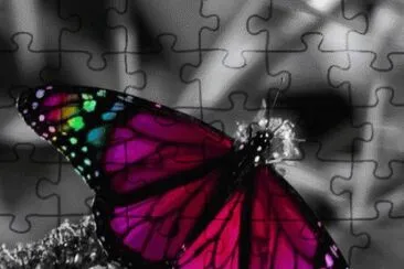 mariposas jigsaw puzzle