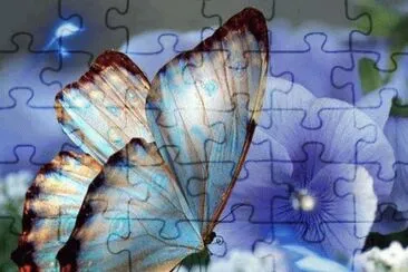 mariposas jigsaw puzzle