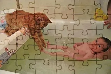 ×—×ª×•×œ jigsaw puzzle