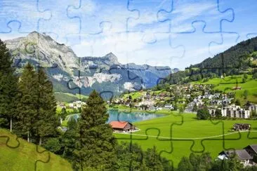  jigsaw puzzle