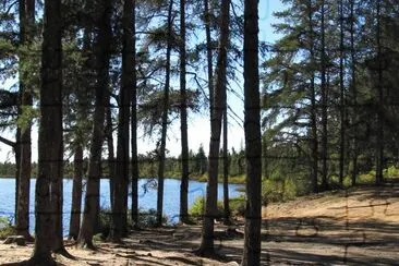 Beautiful little lake near Rogersville NB