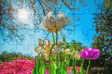 587 jigsaw puzzle