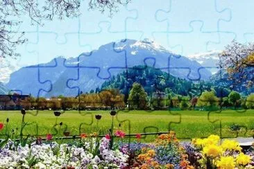 592 jigsaw puzzle