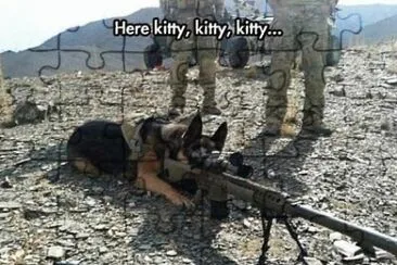 Here KITTY