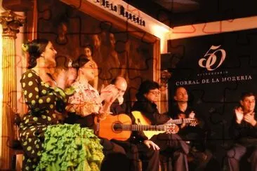 Flamenco Show