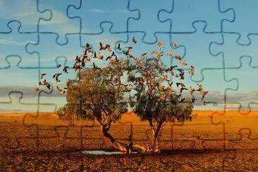 ARVORE1 jigsaw puzzle